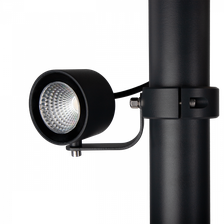 ライチュウex プログレス・レーシングCDI ライブDIO-ZX（'97～'02）、ライブ