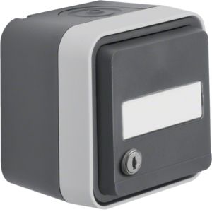 a-chan　1207 W.1 Gniazdo SCHUKO 2P+Z na klucz, z polem opisowym, klucz z