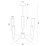 Zdjęcie 5