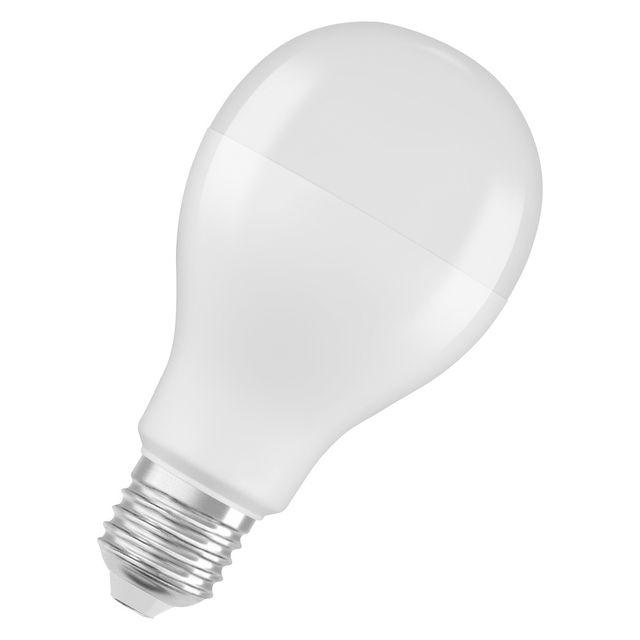 Żarówka LED STAR CLASSIC A 19W 865 Frosted E27