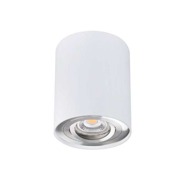 Downlight BORD DLP-50-SR/W biało-srebrna