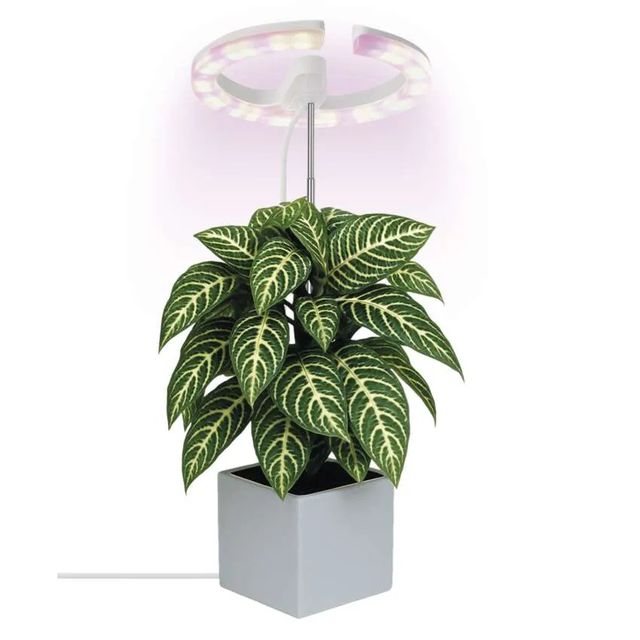 Lampa LED GROW do uprawy roślin 8W, timer, ściemnialna, biała