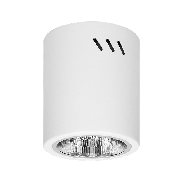 Oprawa sufitowa KORIN 13, typu downlight, E27 - biała