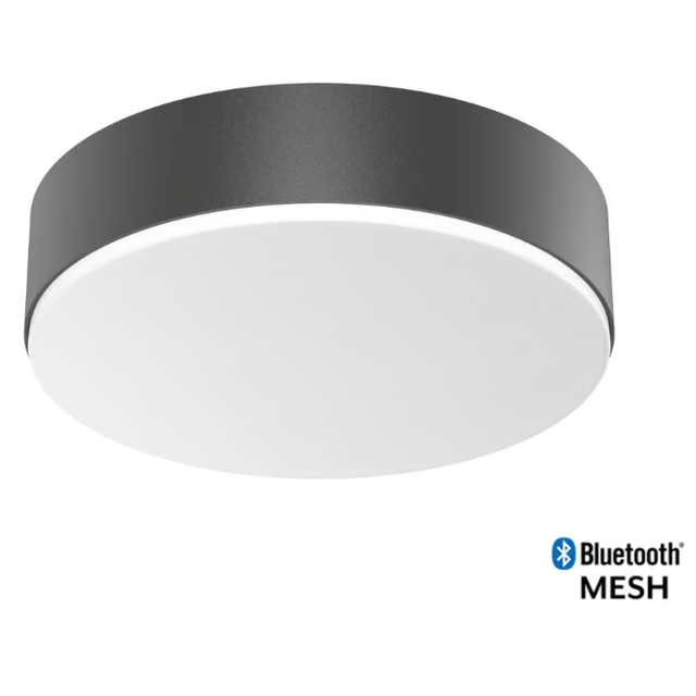 Plafon 26cm z czujnikiem 8m RS PRO Bluetooth Mesh IP54 IK10 antracyt