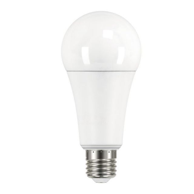 Żarówka IQ-LED E27 19W A67 zimna