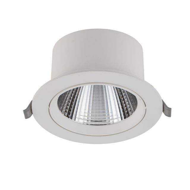 Downlight podtynkowy nastawny EGINA LED 15W 3000K 30° - biały