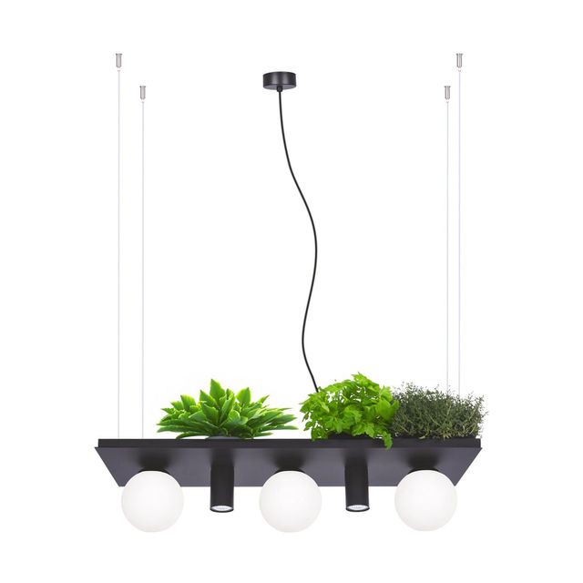 Lampa wisząca PLANT SHELF 5555 3xE14 + 2xGU10 - czarny