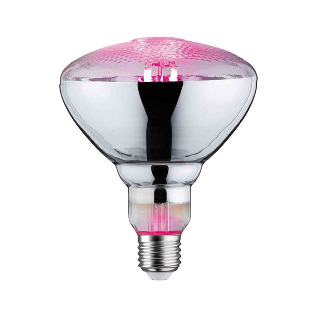 Żarówka do roślin PLANT PAR38 E27 LED 6,5W 1300K